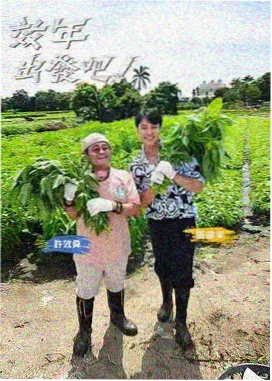 格线模板包封面